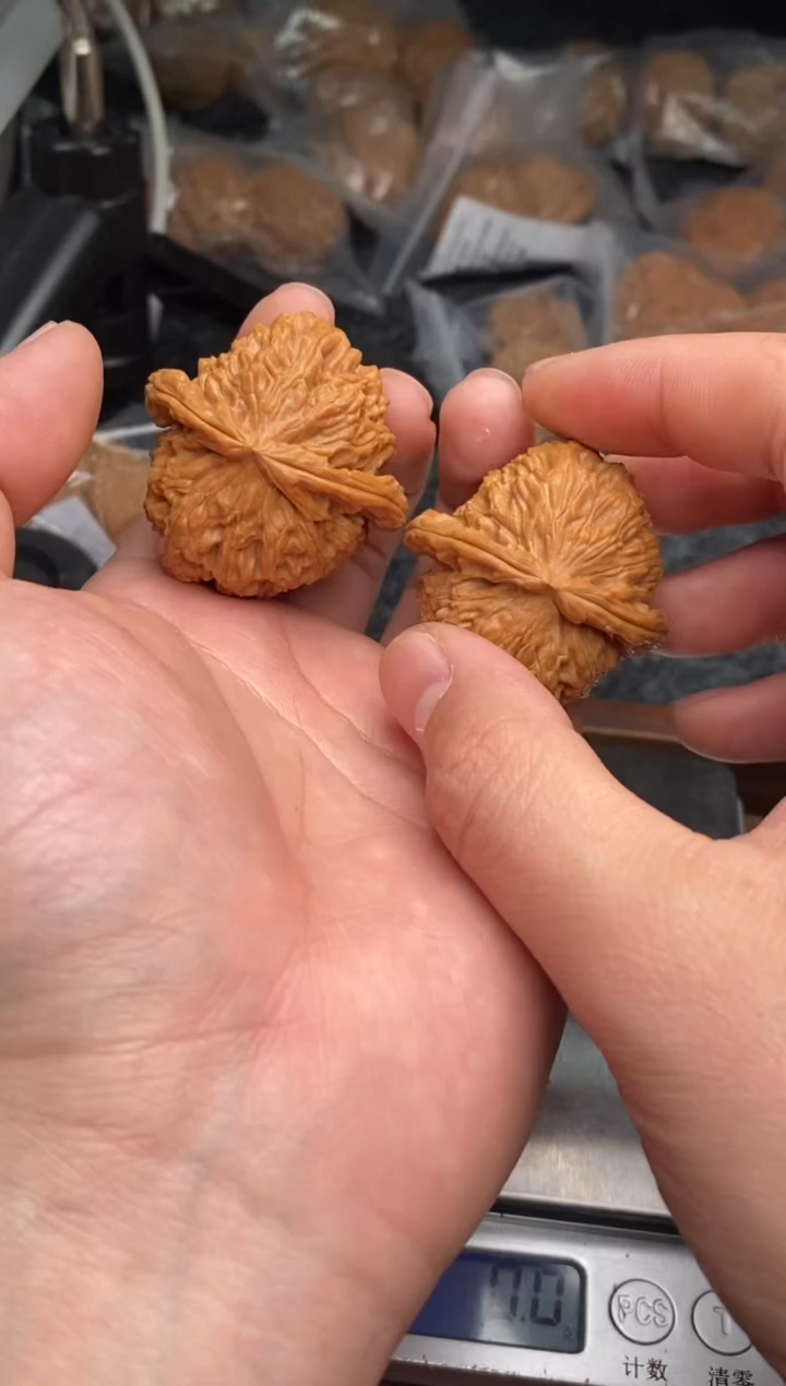 【闪购商品】文玩核桃把件G149号41尺白狮子