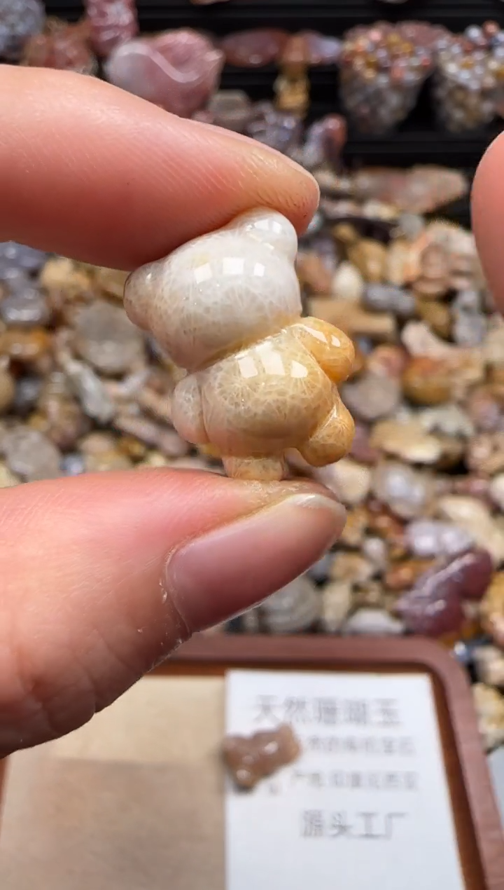 【闪购商品】硅化珊瑚（珊瑚玉）颈饰未镶嵌113