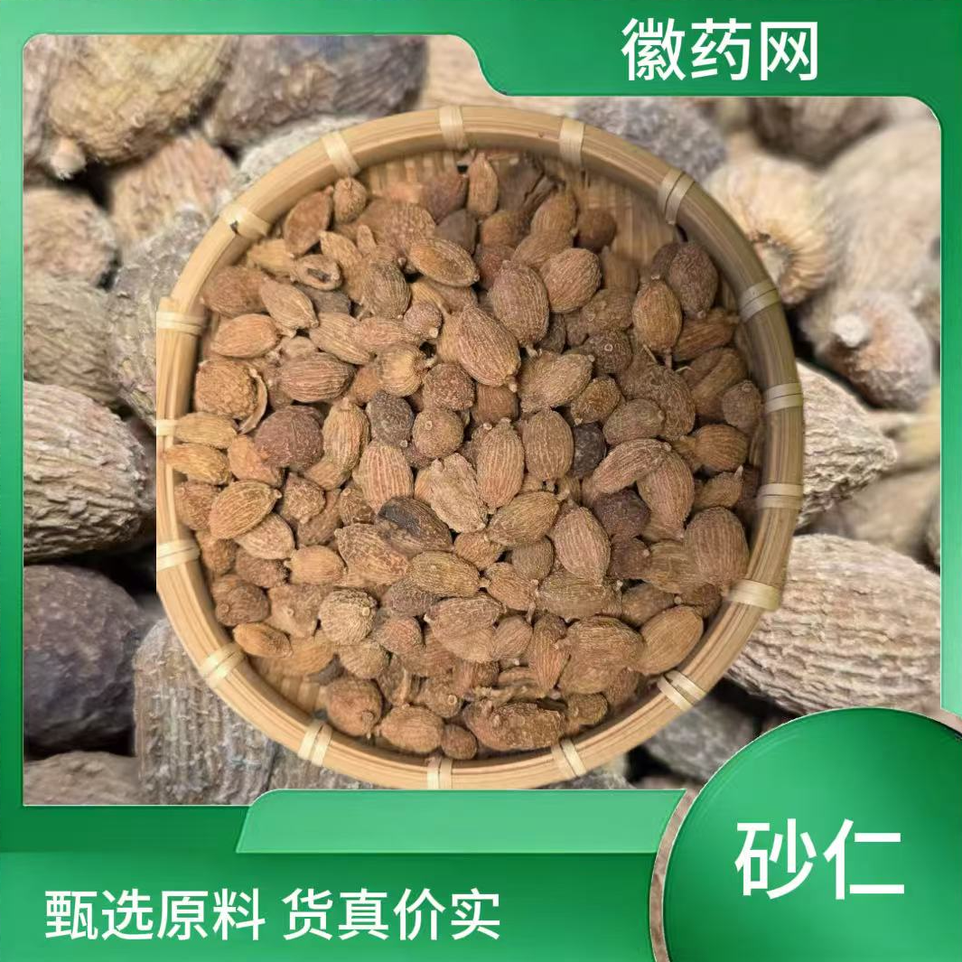 砂仁 中药材砂仁正宗精选