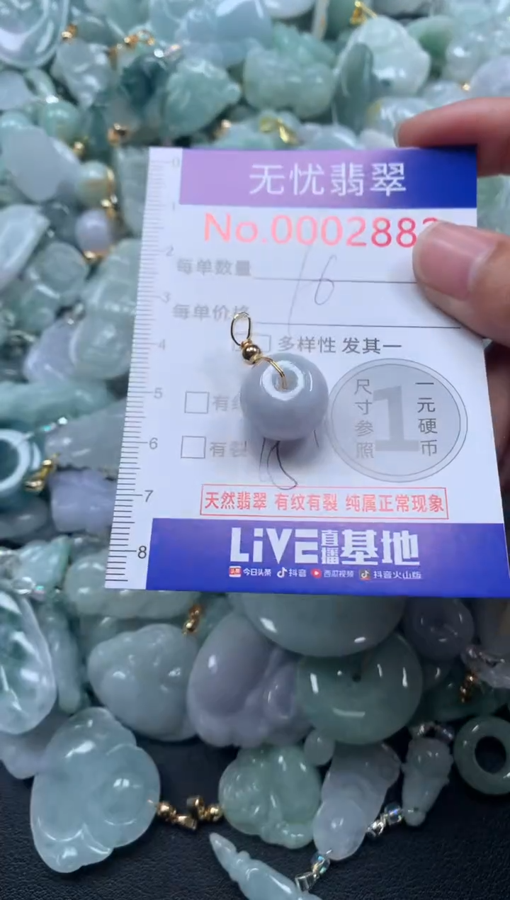 颈饰未镶嵌翡翠2882