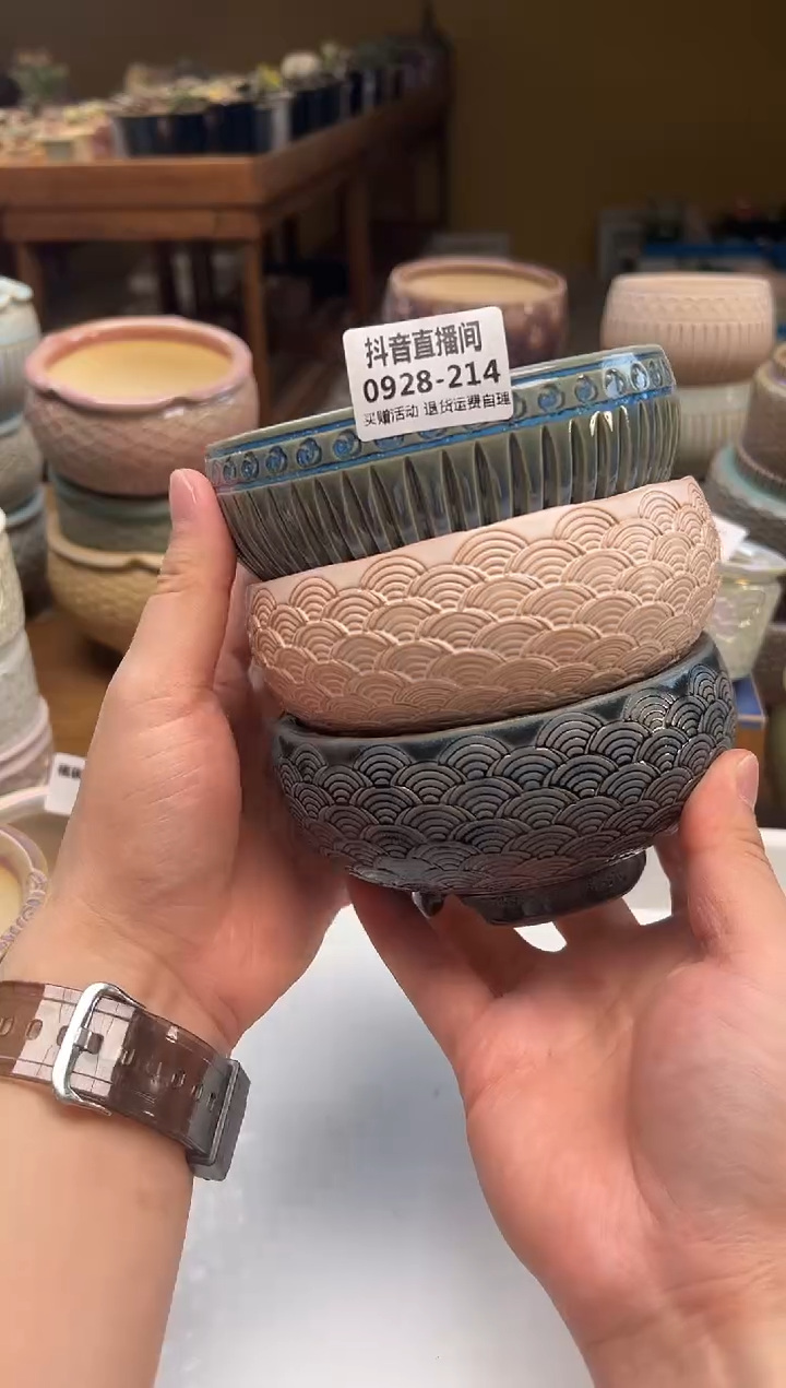 0928-214 内口12 秋日上盆季“拍一发三”