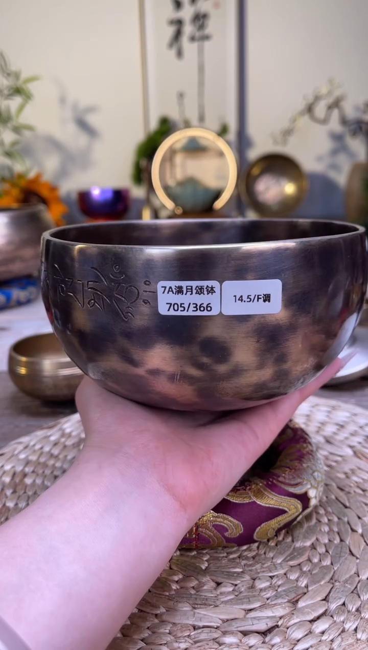 【闪购商品】满月口径14.5CM-F调（无配件）