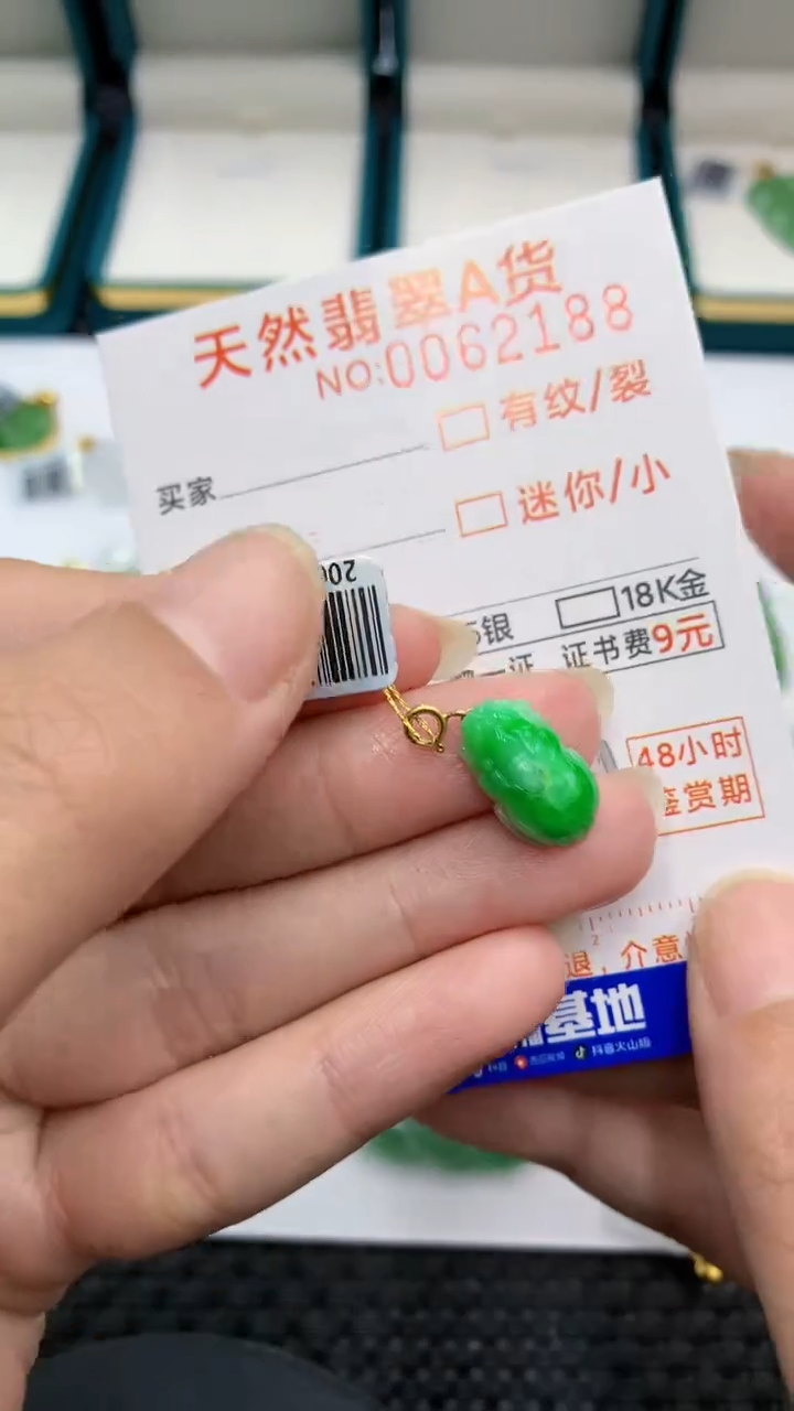 【闪购商品】翡翠颈饰18K金镶嵌            8