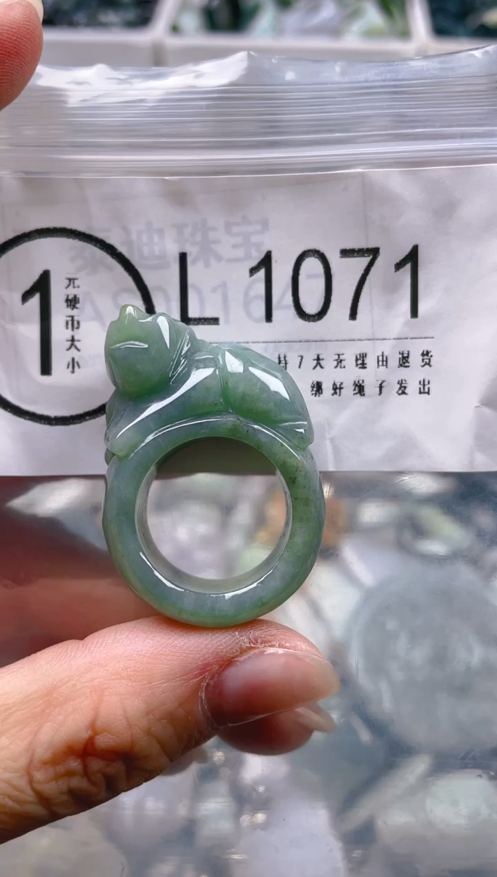 【闪购商品】翡翠颈饰未镶嵌19.1/L/翡翠A货一图一物