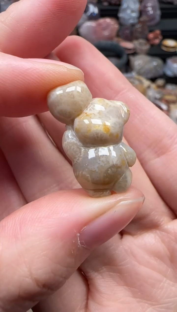 颈饰未镶嵌硅化珊瑚（珊瑚玉）735