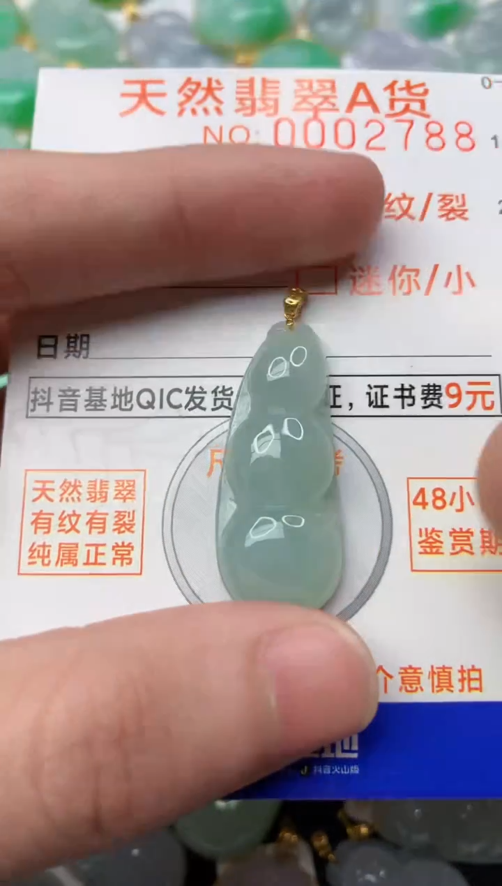 【闪购商品】翡翠颈饰18K金镶嵌1.........