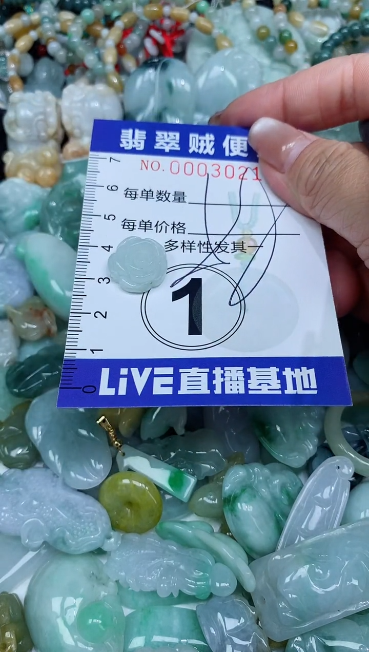 【闪购商品】翡翠未镶嵌颈饰闪购0003021多样性发其一