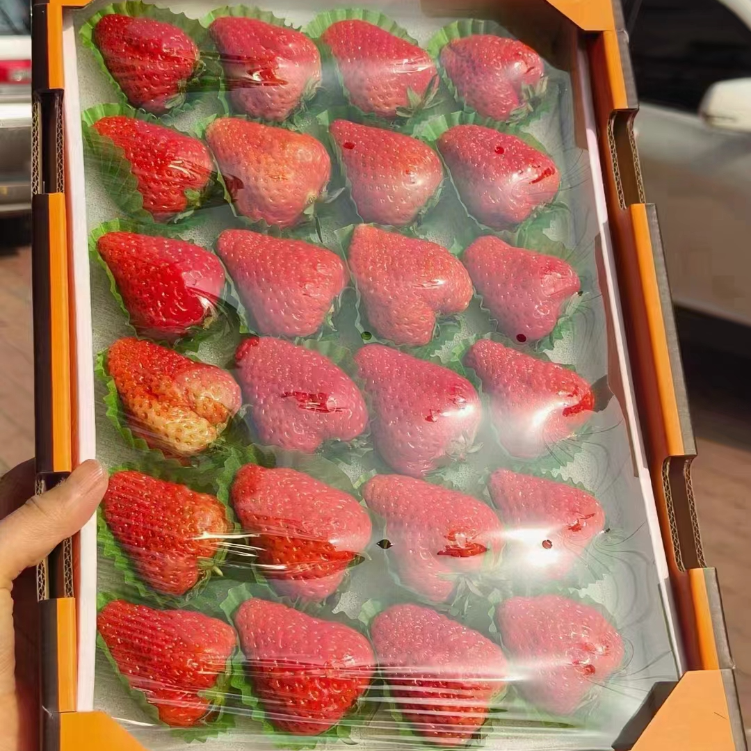 丹东九九草莓一盒600克左右
