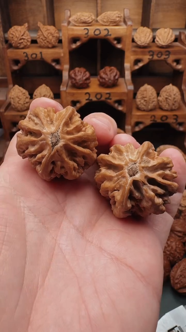 【闪购商品】文玩核桃吊坠DLDLT楸子下播福利