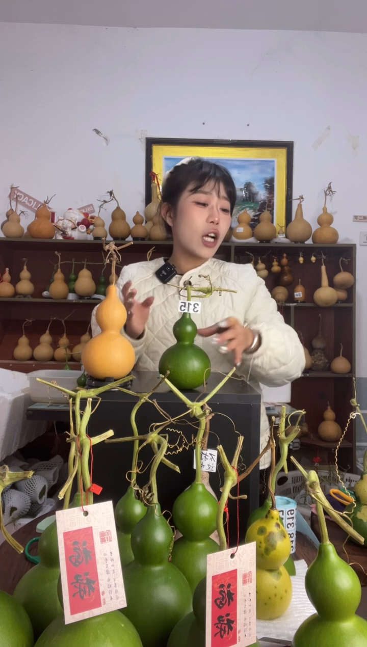 315天然葫芦摆件 一物一拍龙头不保售后