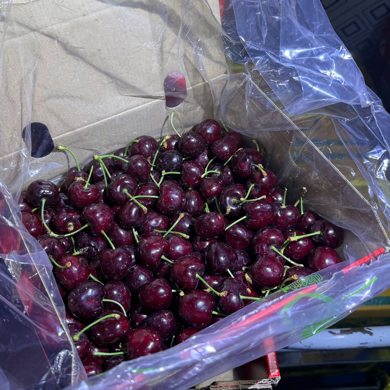 空运桑提娜车厘子3JD 5斤装 顺丰快递内附果径卡