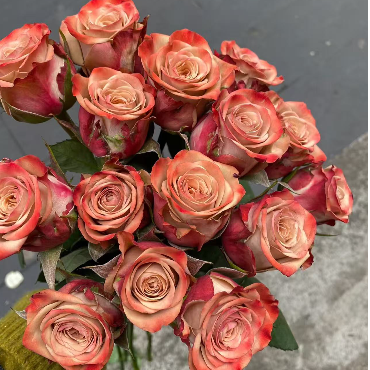 【卡布奇洛】单头玫瑰   两单升级冷链，三单升级空运