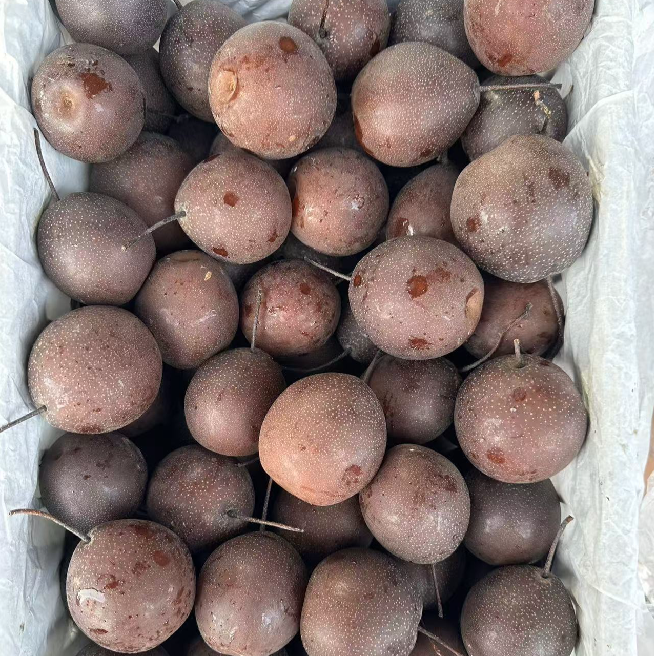 东北冻白梨纯甜口果肉细腻大小可选