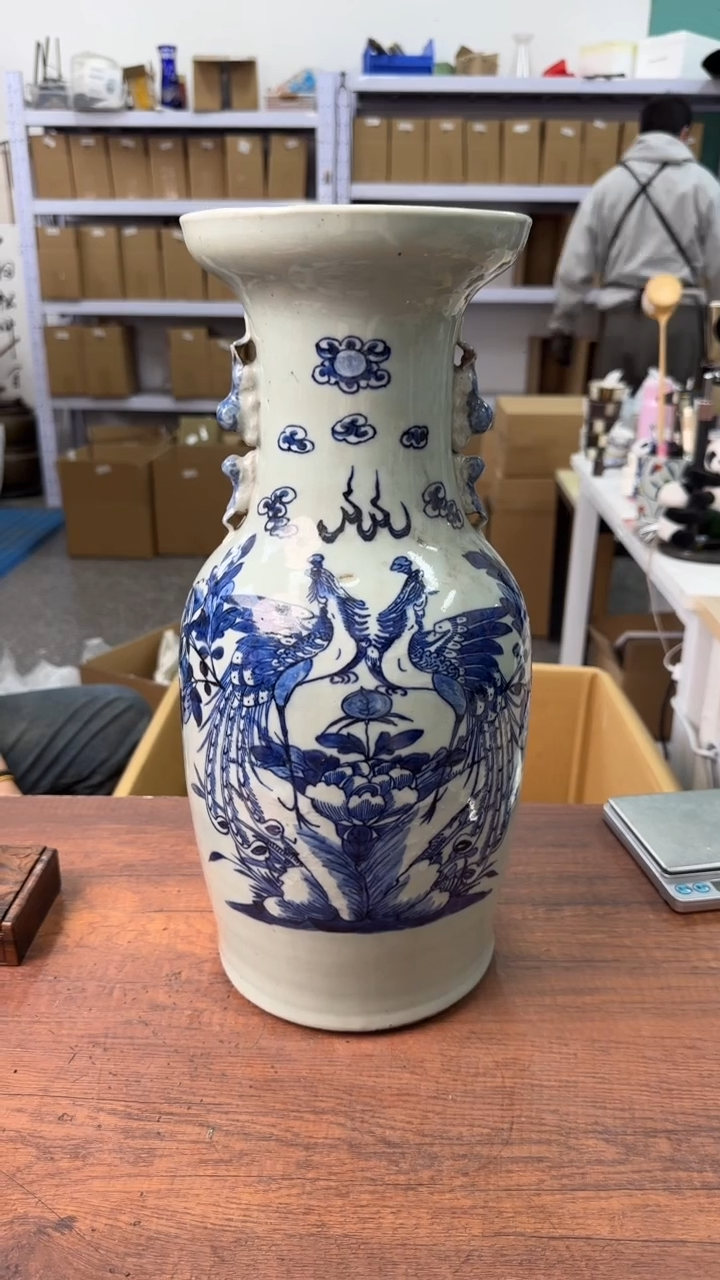 【闪购商品】祝你永远风华正茂