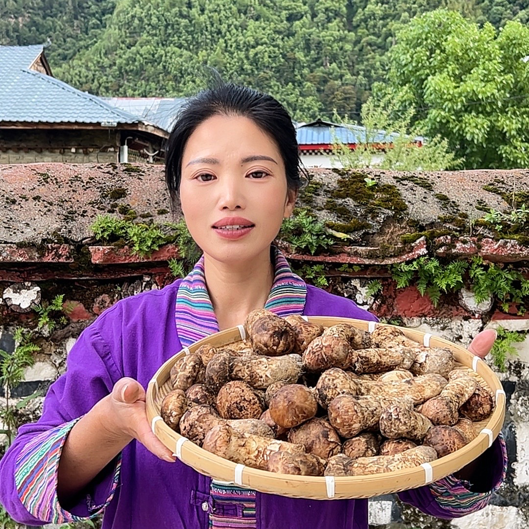 【7-9精品松茸】西藏林芝鲜松茸巴松措松茸菌香浓郁口感脆爽