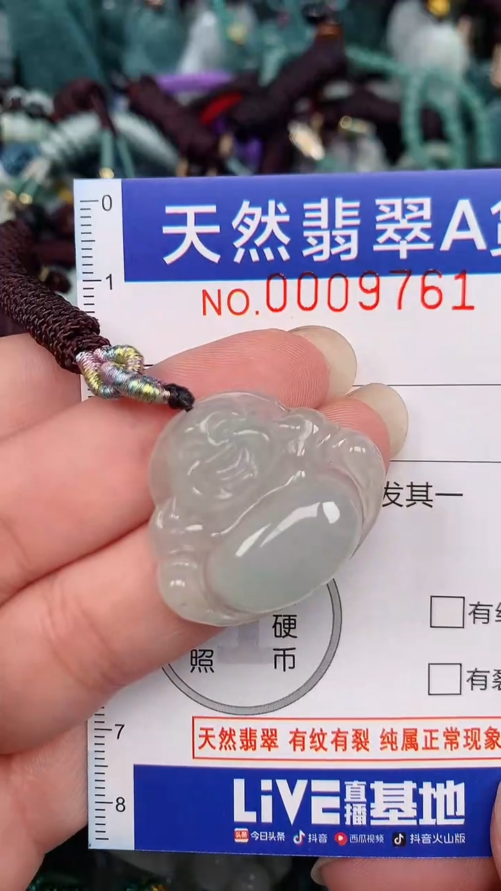 翡翠未镶嵌颈饰...0009761