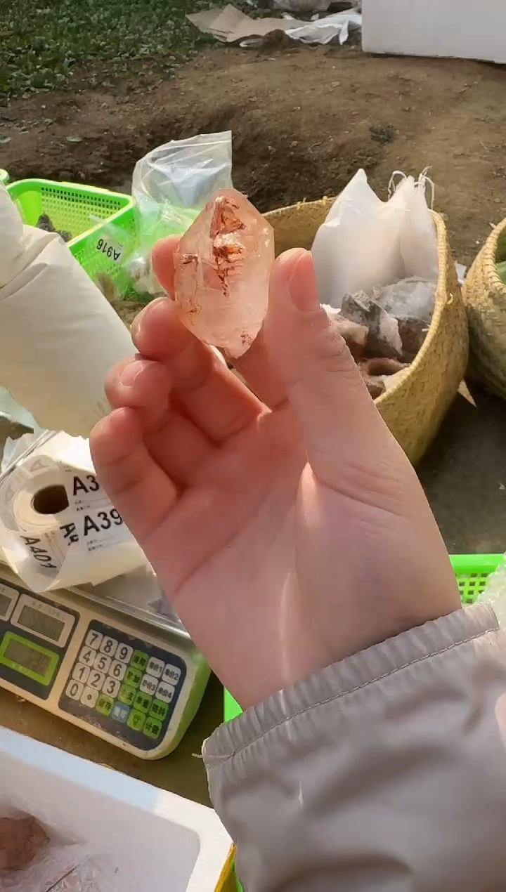 【闪购商品】水晶摆件未镶嵌骸骨395