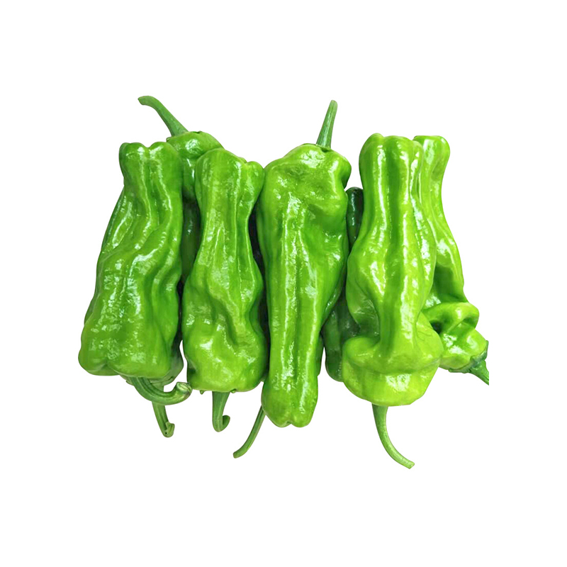 薄皮椒280g-300g/份