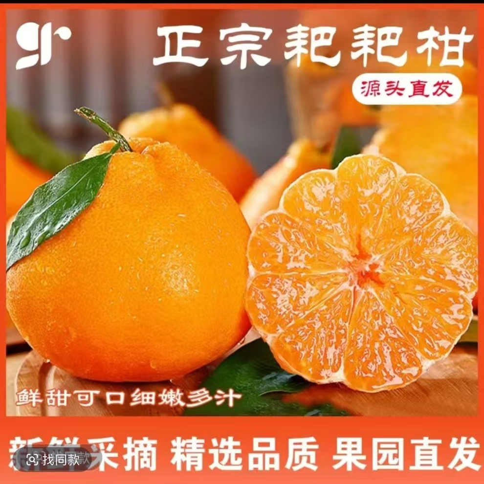当季新鲜耙耙柑水果柑子孕妇水果粑粑柑