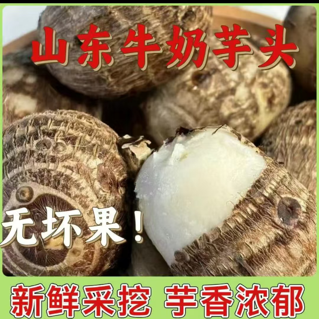  现挖山东新鲜小芋头现挖牛奶芋头软糯粉蔬菜芋头 (二）111