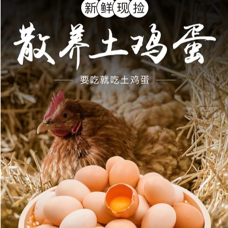 山林散养土鸡蛋新鲜营养健康谷物喂养鲜蛋