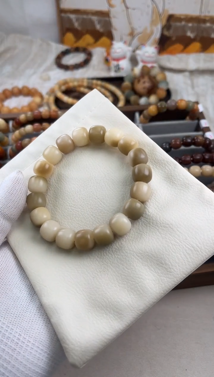 吊坠菩提根/象牙果S****aa210卡13 干磨天然