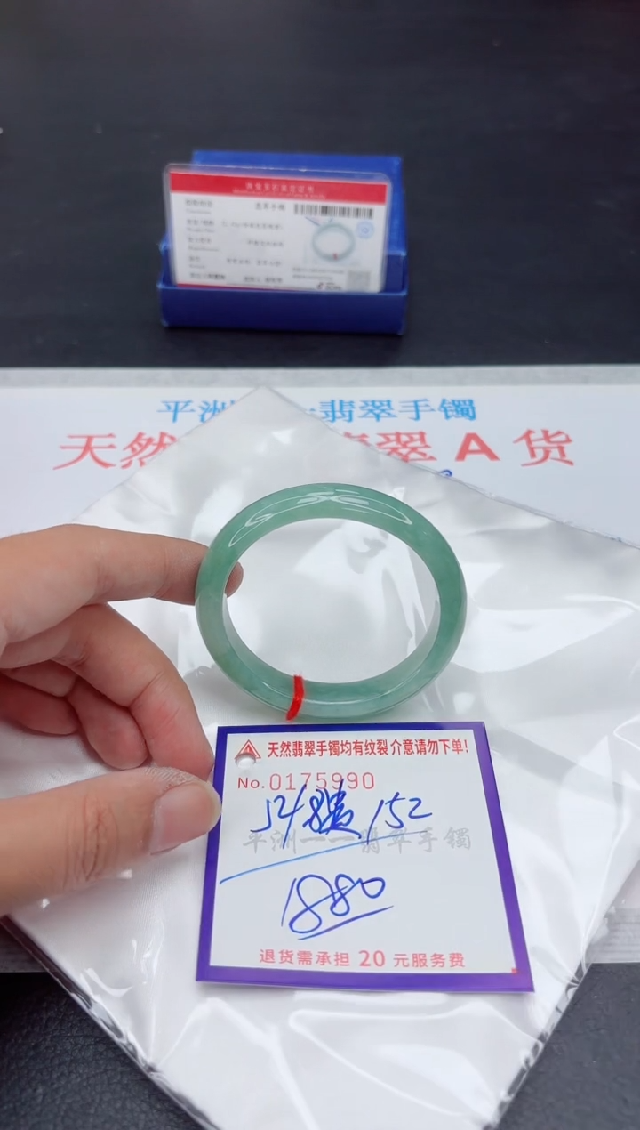 未镶嵌手镯翡翠11111111