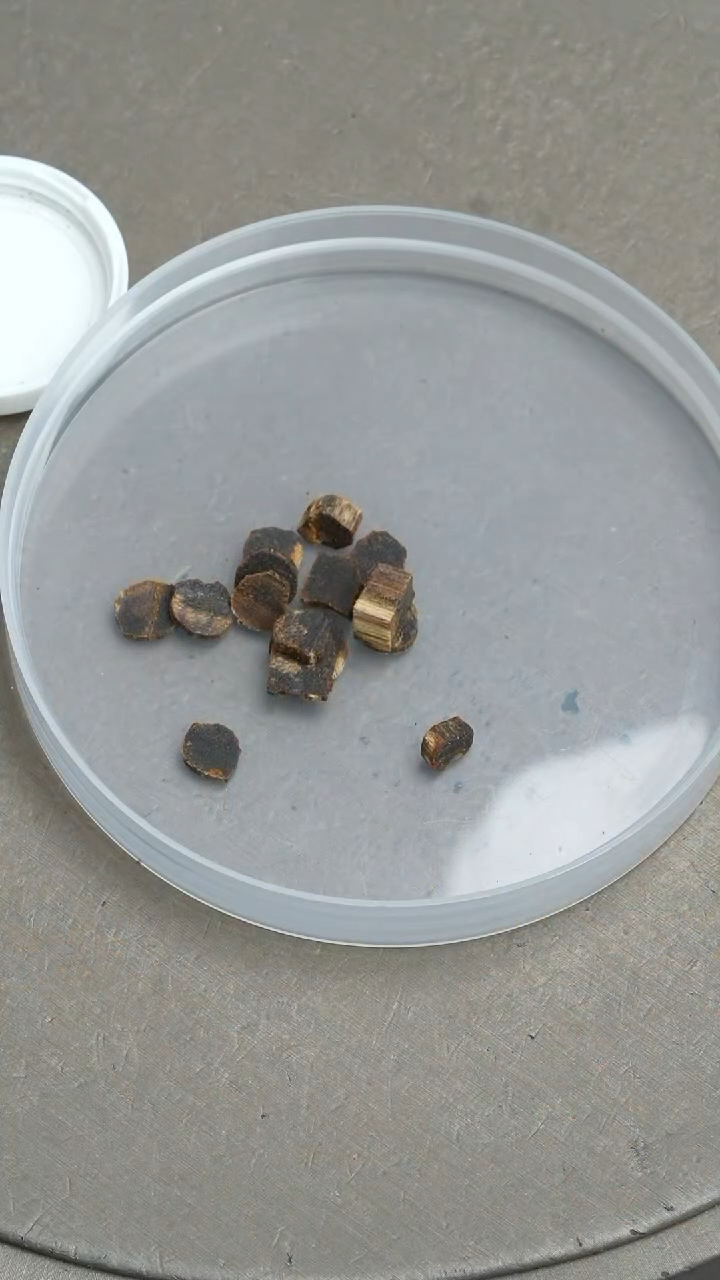 【闪购商品】沉香吊坠沉水芽庄沉香白奇楠1克圆片碎料