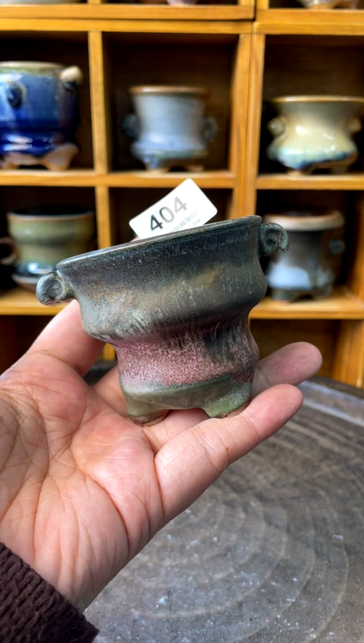 404【多肉花盆多肉盆】