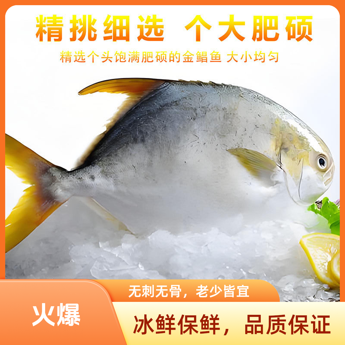 深海捕捞金鲳鱼到手5斤冰鲜发货金鲳鱼福建海鲜红鲳鱼马友鱼