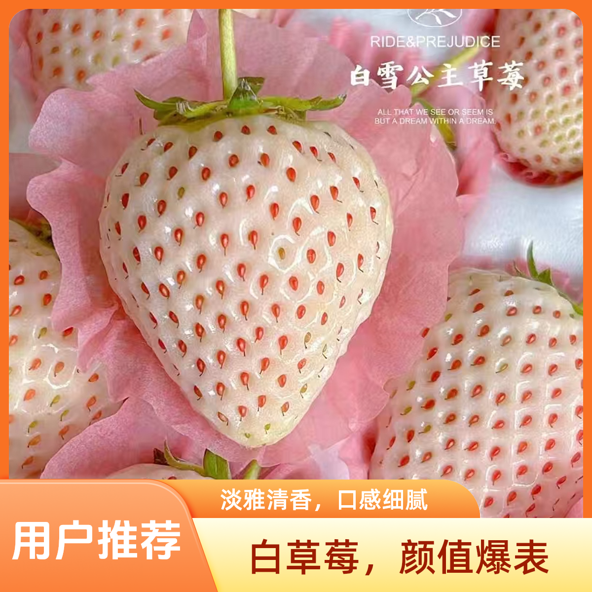 丹东白雪公主草莓500g