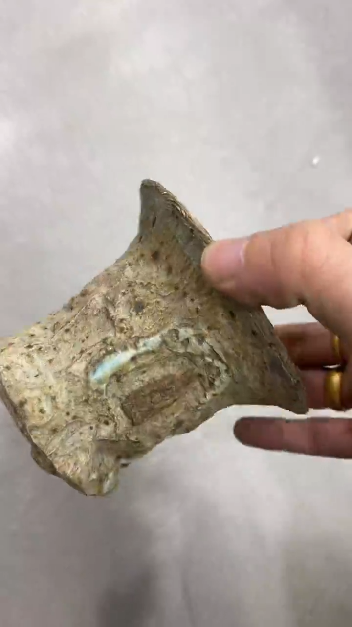 瓷片陶瓷茶具茶器