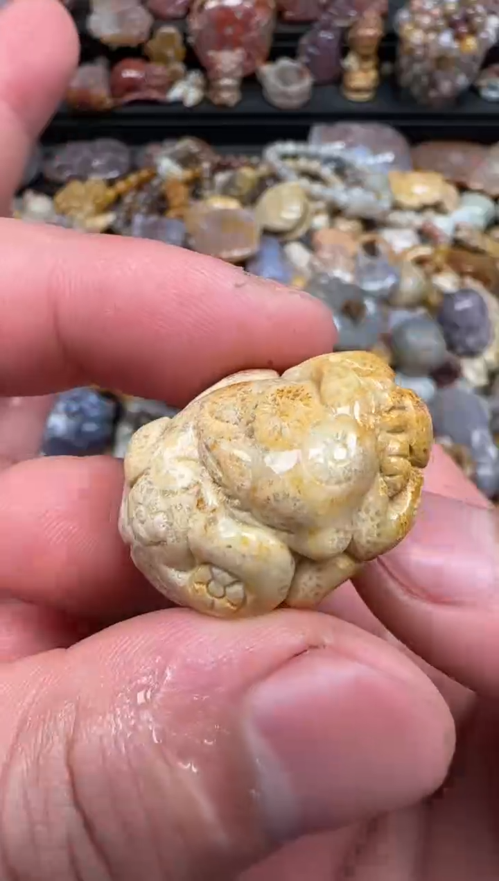 硅化珊瑚（珊瑚玉）未镶嵌颈饰647