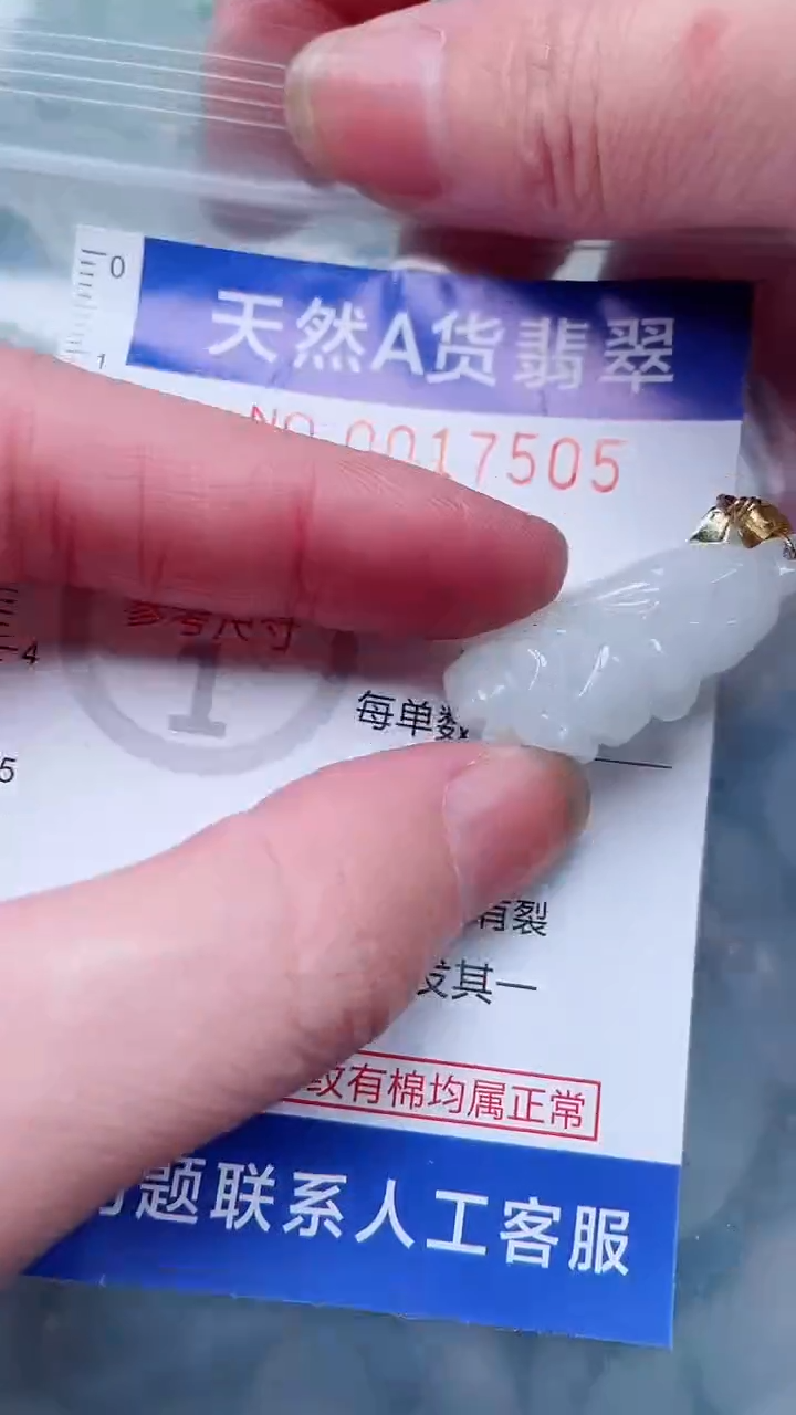 翡翠未镶嵌吊坠(不含链)1