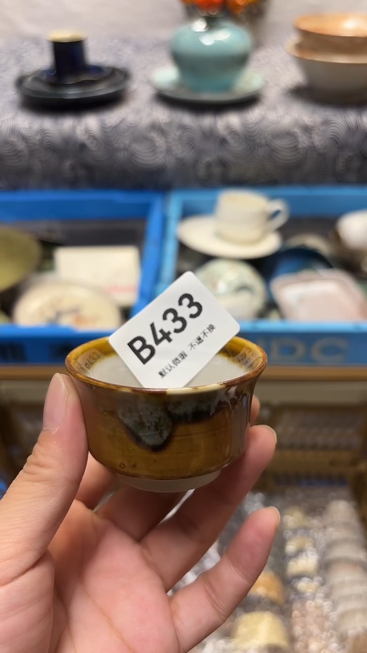 瓷片饭****o喵喵家都是大漂亮