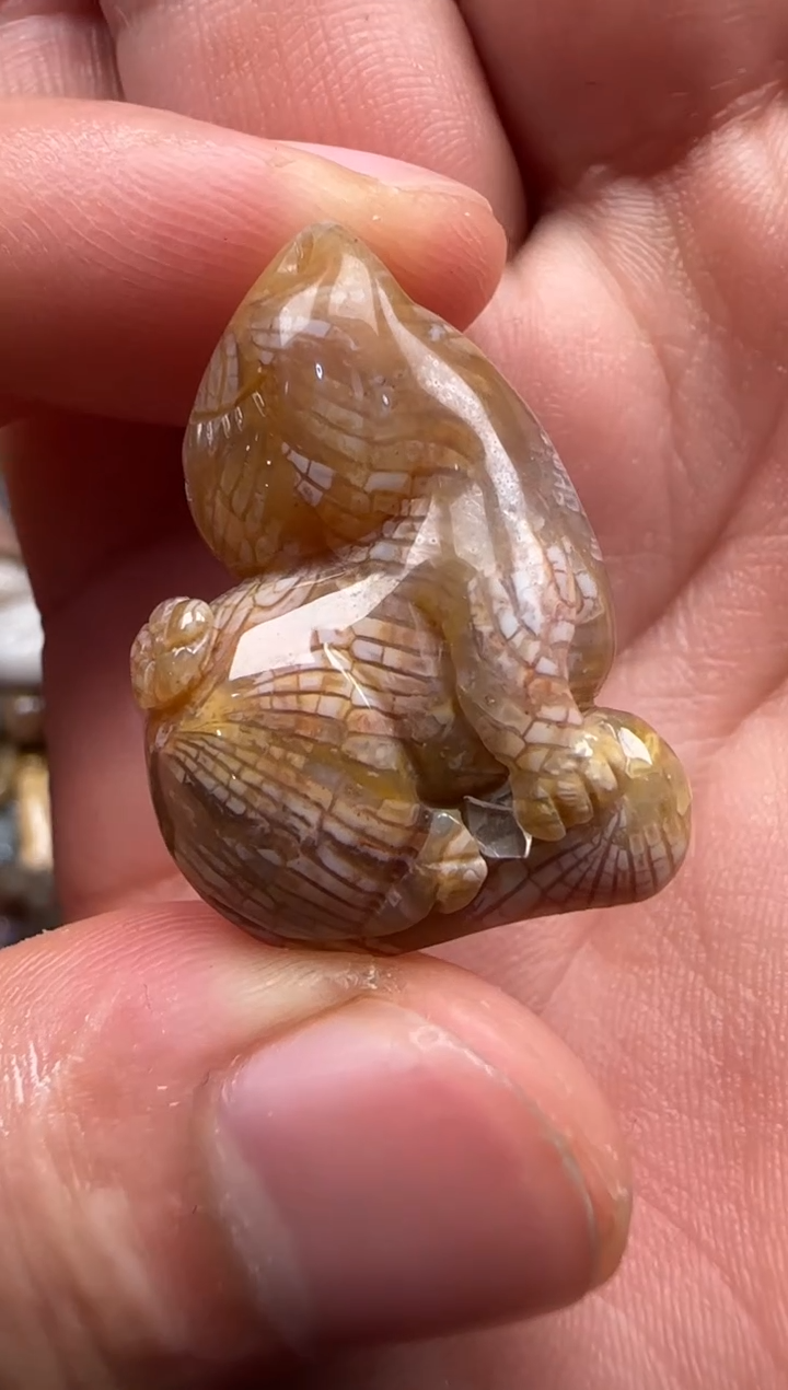 【闪购商品】硅化珊瑚（珊瑚玉）颈饰未镶嵌455