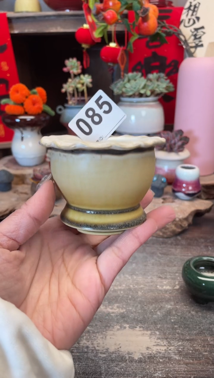 【闪购商品】摆件085知木小芳花盆