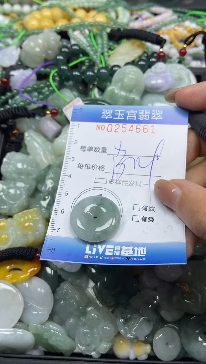 颈饰未镶嵌翡翠闪购C0254661