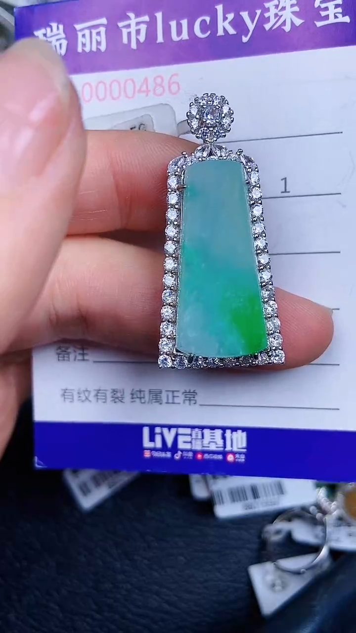 颈饰银S925镶嵌翡翠486