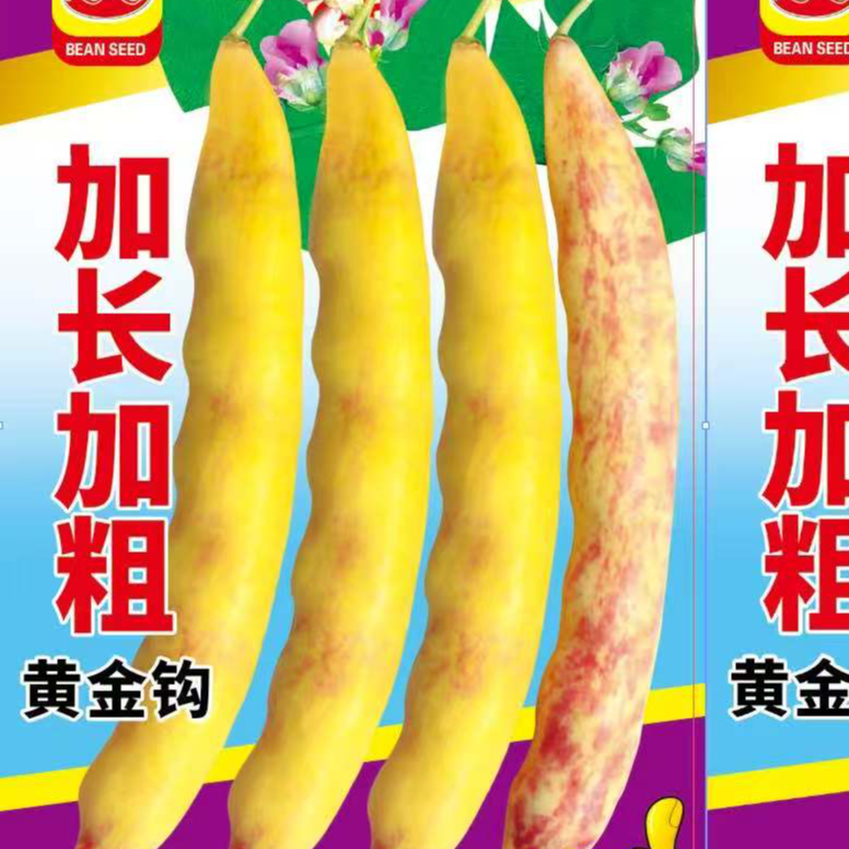 加长加粗黄金勾豆角