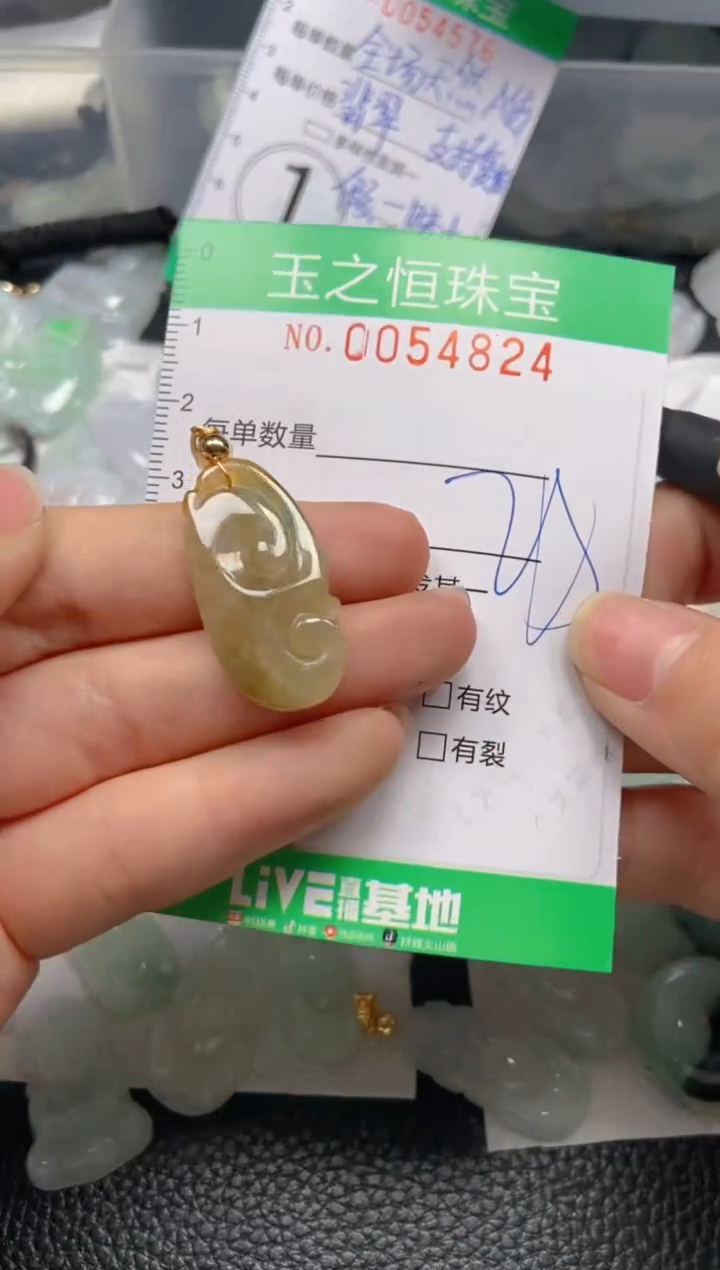 【闪购商品】翡翠未镶嵌颈饰闪购0054824