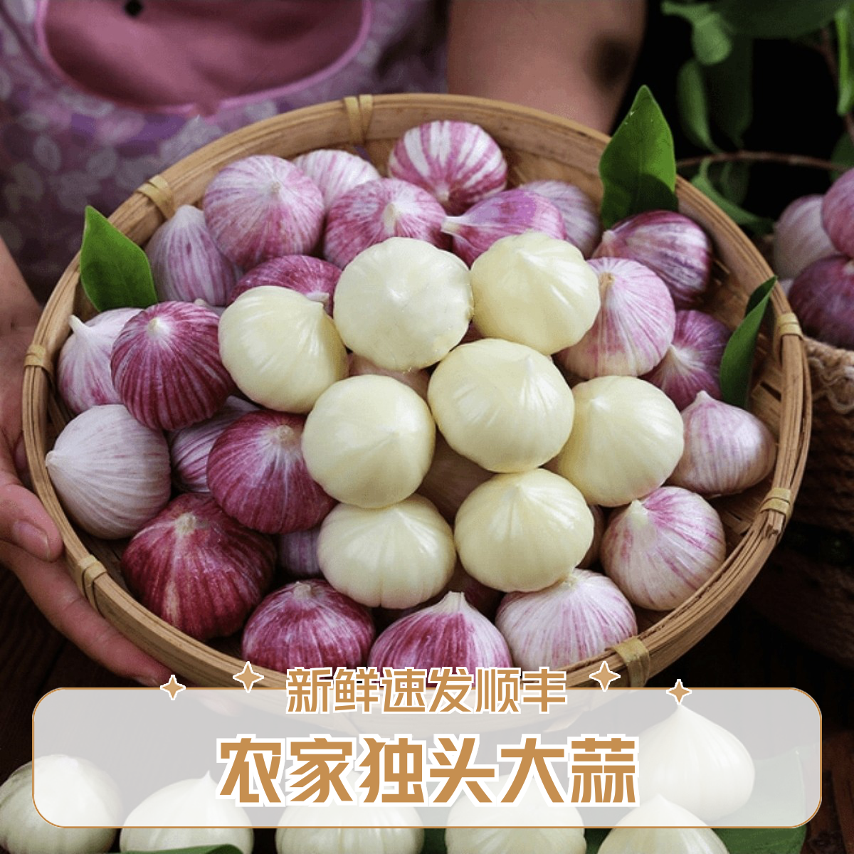 江西农家独头蒜子