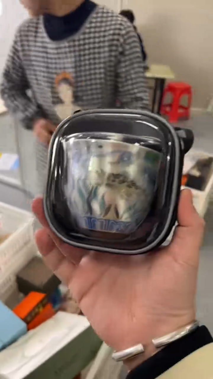 11111【闪购名称】11111111