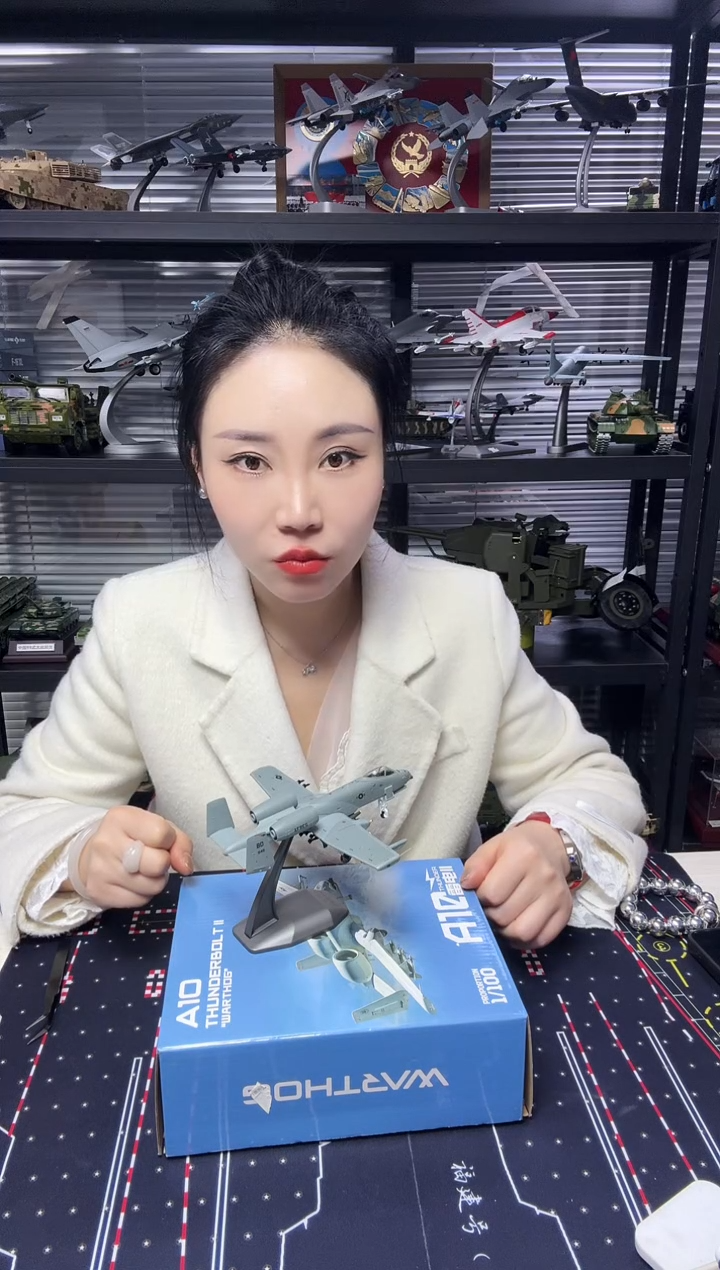 1/100合金飞机模型A10