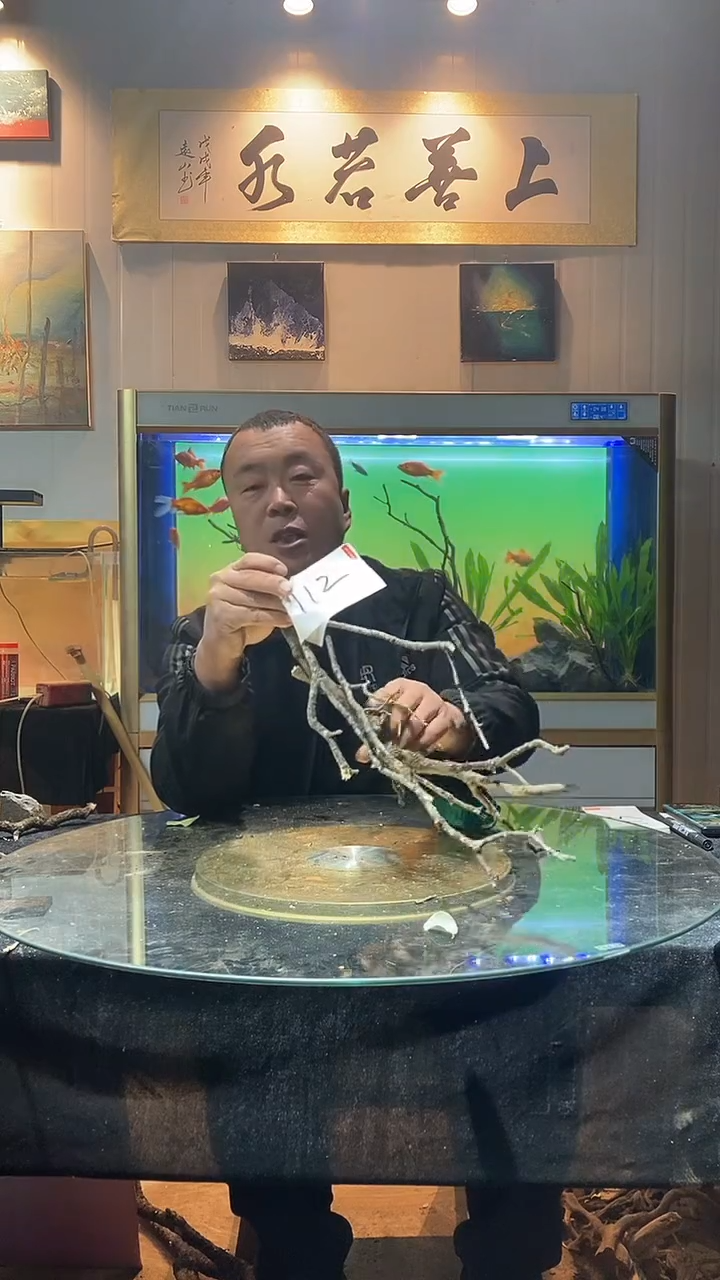 112号天然黄栎木一组
