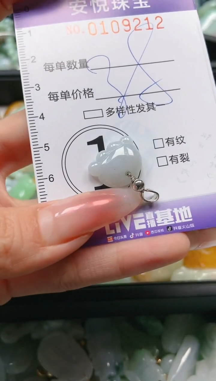【闪购商品】翡翠颈饰未镶嵌闪购0109212