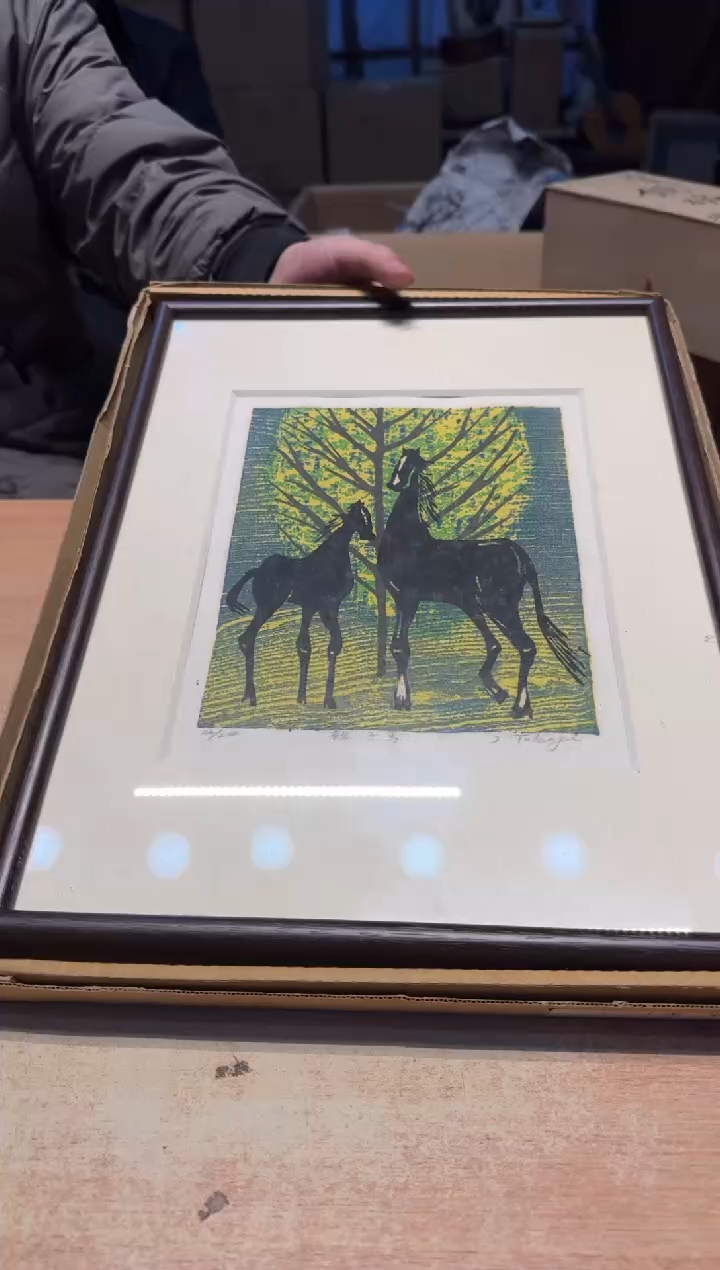 【闪购商品】老板谨慎参拍，感谢支持哈哈哈哈