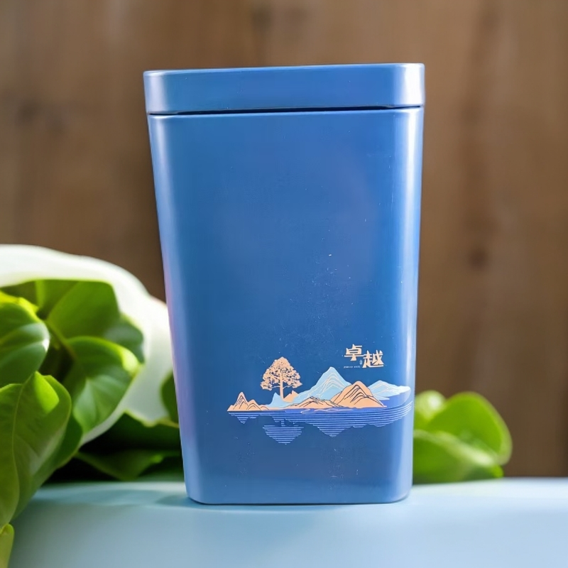 《仓仓有茶》罐装安溪铁观音100g