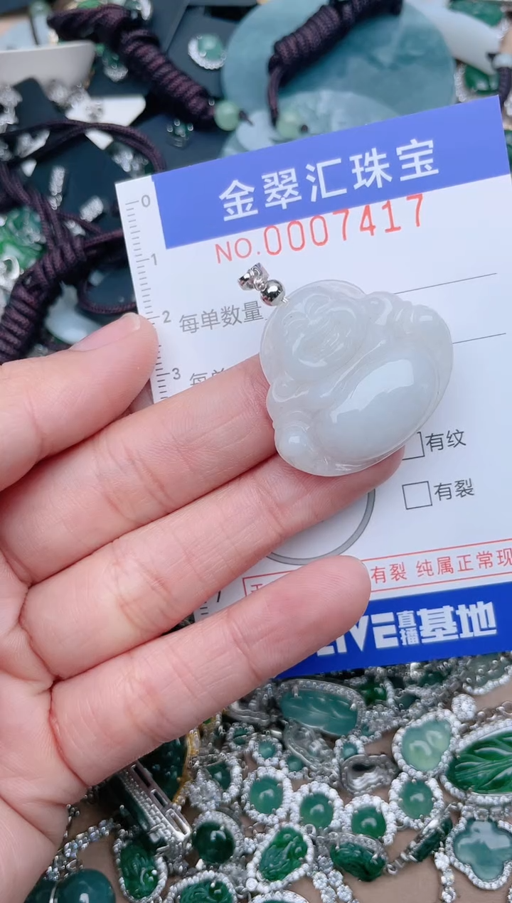 【闪购商品】翡翠颈饰未镶嵌7417........1