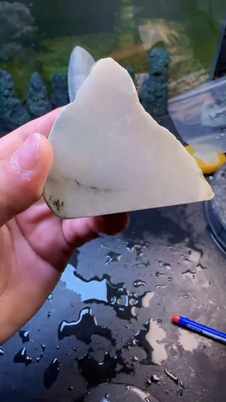 【闪购商品】翡翠颈饰未镶嵌054天然翡翠